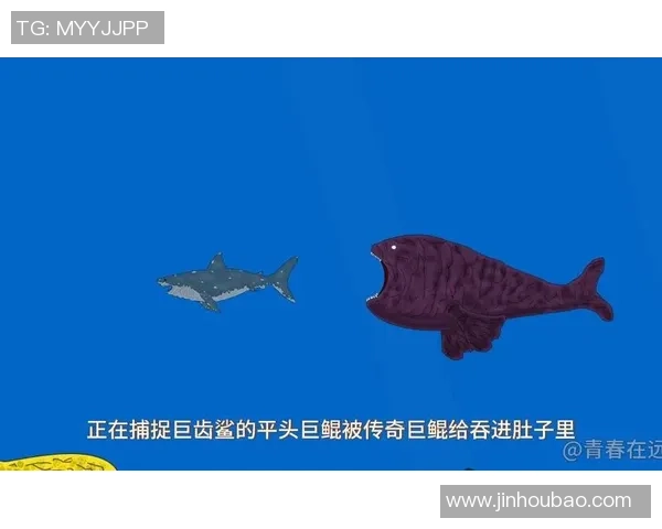 揭秘足球明星巨鲲的真实身份与传奇经历，带你了解这位体育巨星的故事